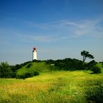 Hiddensee: Leuchtturm Dornbusch