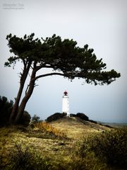 Hiddensee - Leuchtturm Dornbusch