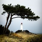 Hiddensee - Leuchtturm Dornbusch