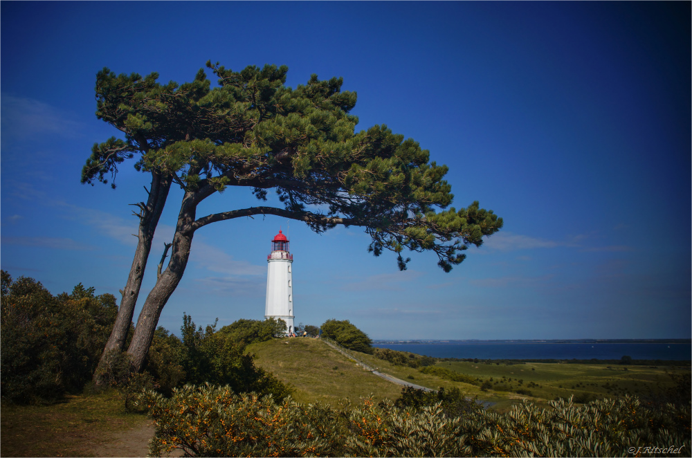 Hiddensee - Leuchtturm Dornbusch II