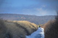 Hiddensee März 2023