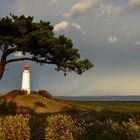 Hiddensee mit Regenbogen