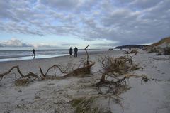 Hiddensee nach der Sturmflut 2019