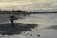 Hiddensee nach der Sturmflut 2019