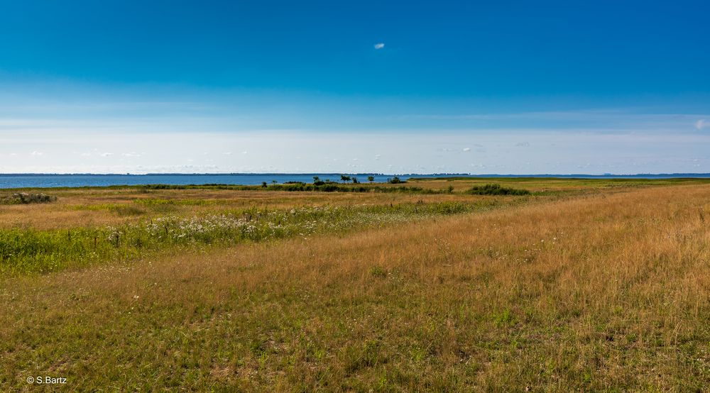 Hiddensee Neuendorf (2)