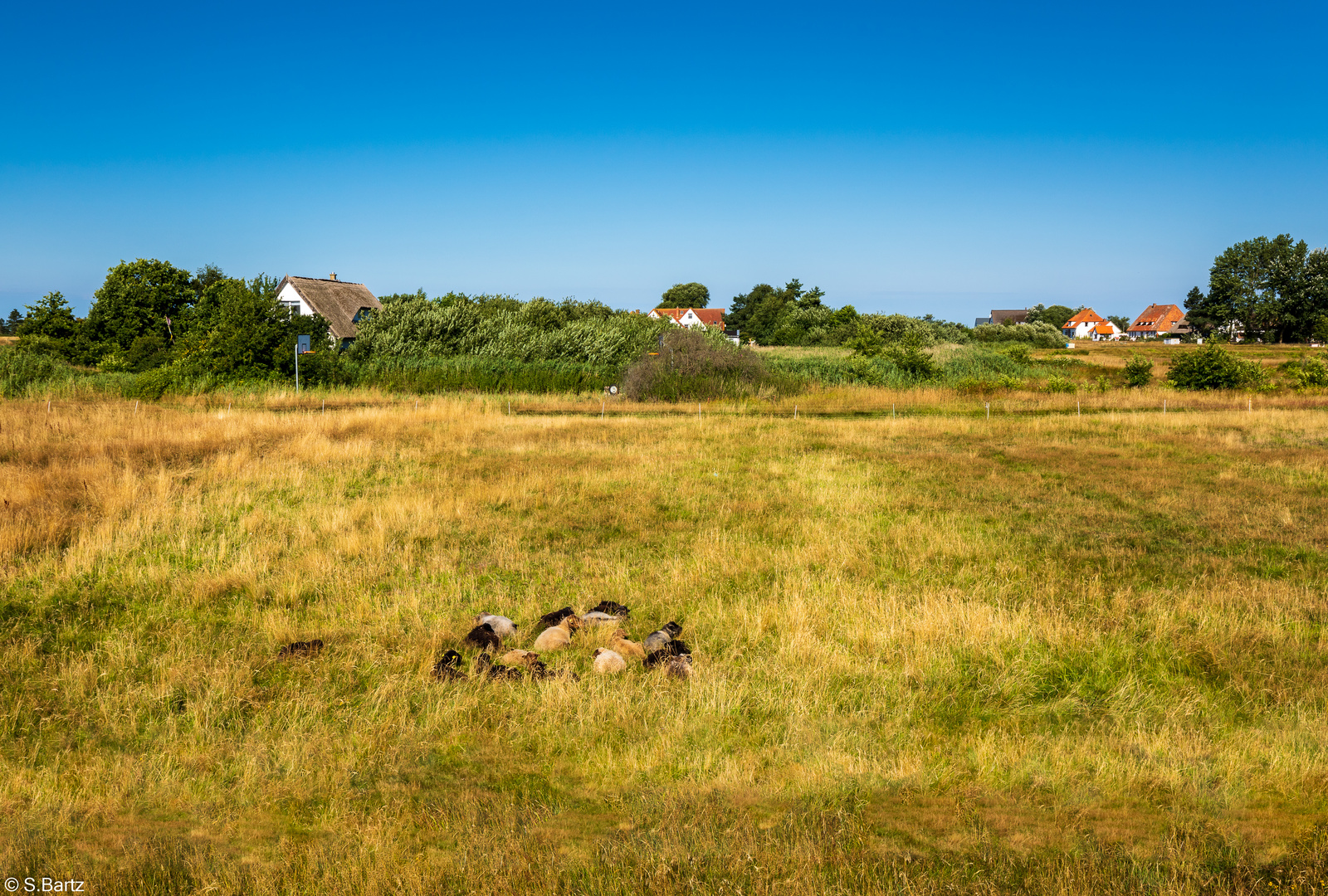 Hiddensee Neuendorf (4)