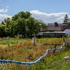 Hiddensee Romantik