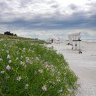 Hiddensee Strand 