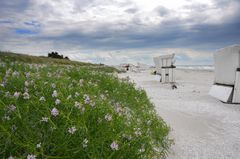 Hiddensee Strand 