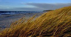 Hiddensee und sein Strand