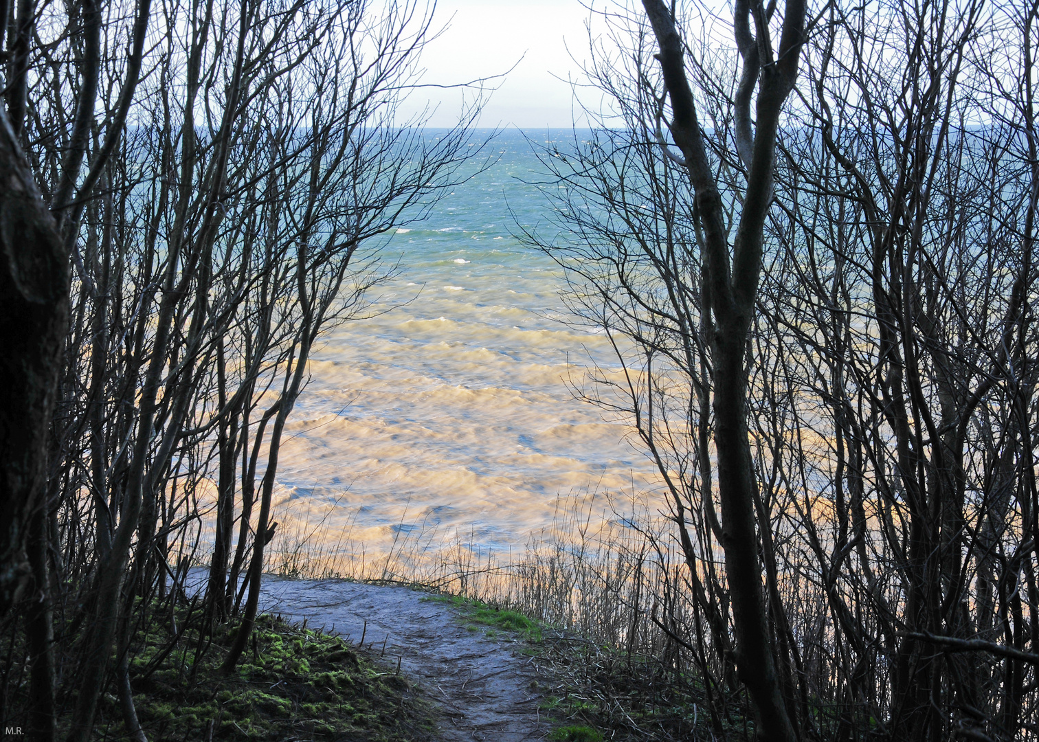 Hiddensee.10 - Blick vom Hochufer