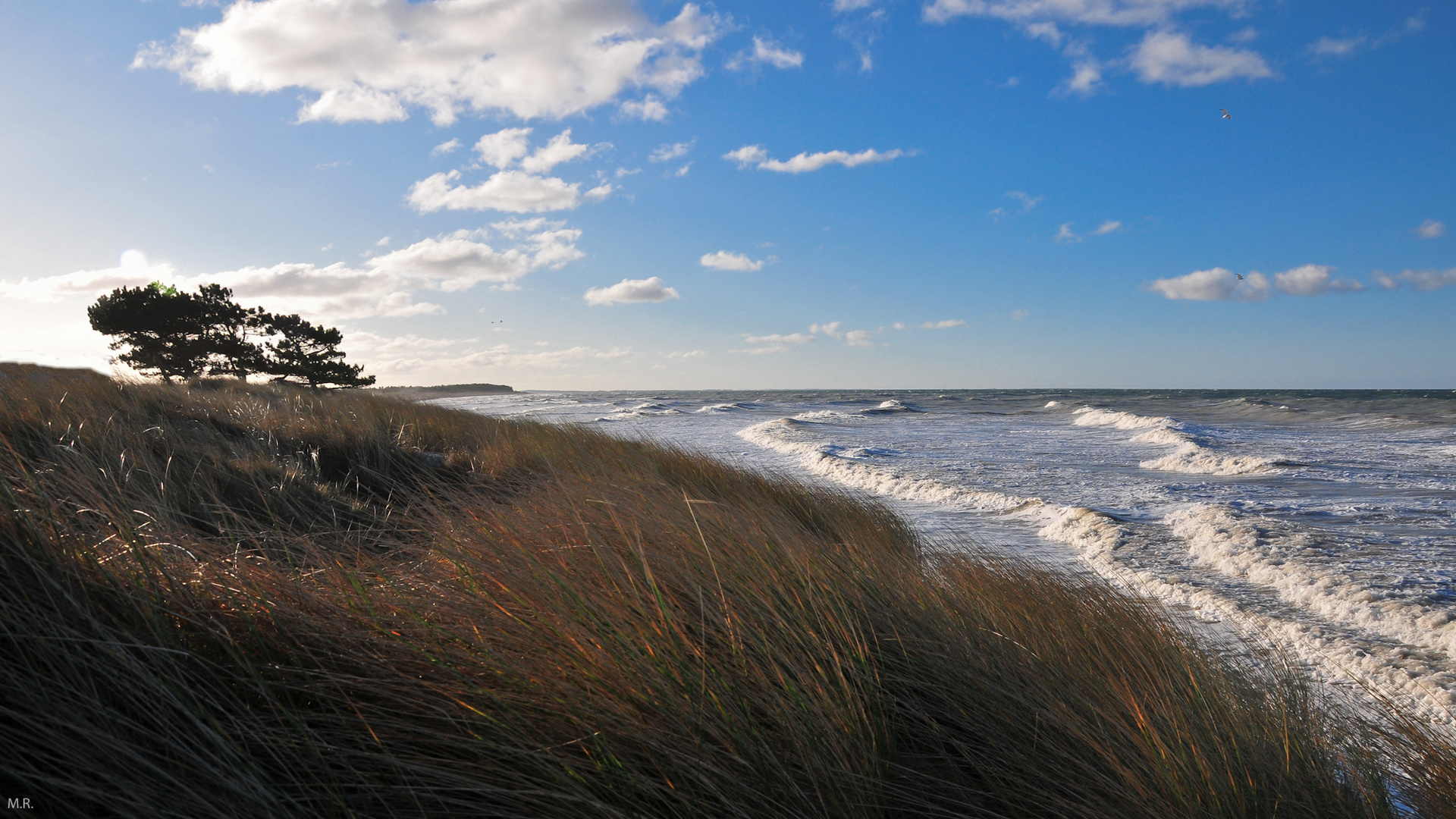 Hiddensee.11 Westküste