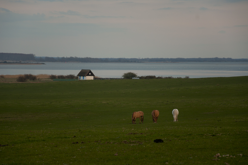 Hiddensee_2