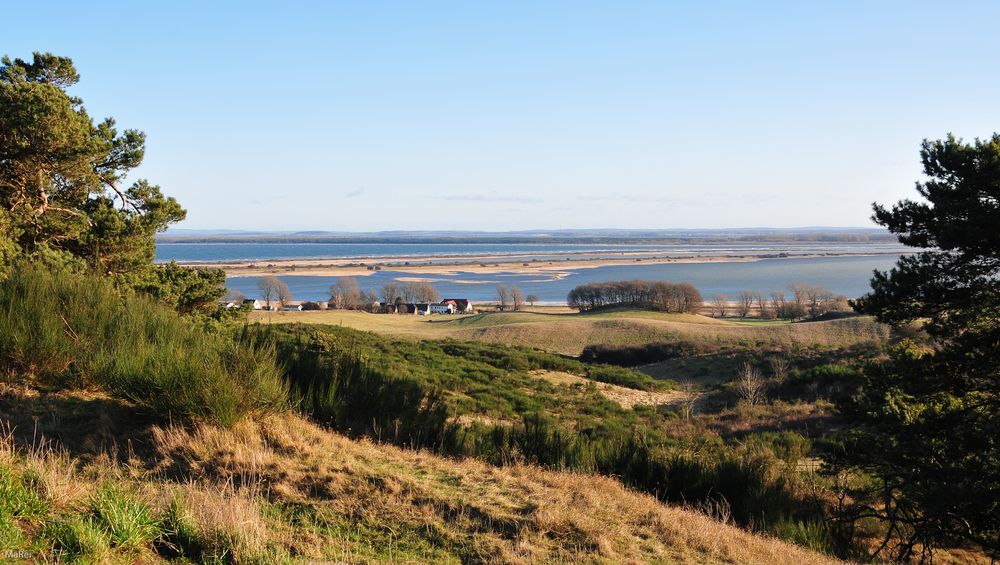 Hiddensee.20 Blick nach Ost