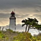 Hiddensee_7