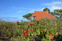 Hiddensee'er Deich 