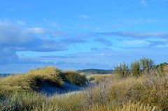 Hiddensee'er Deich 