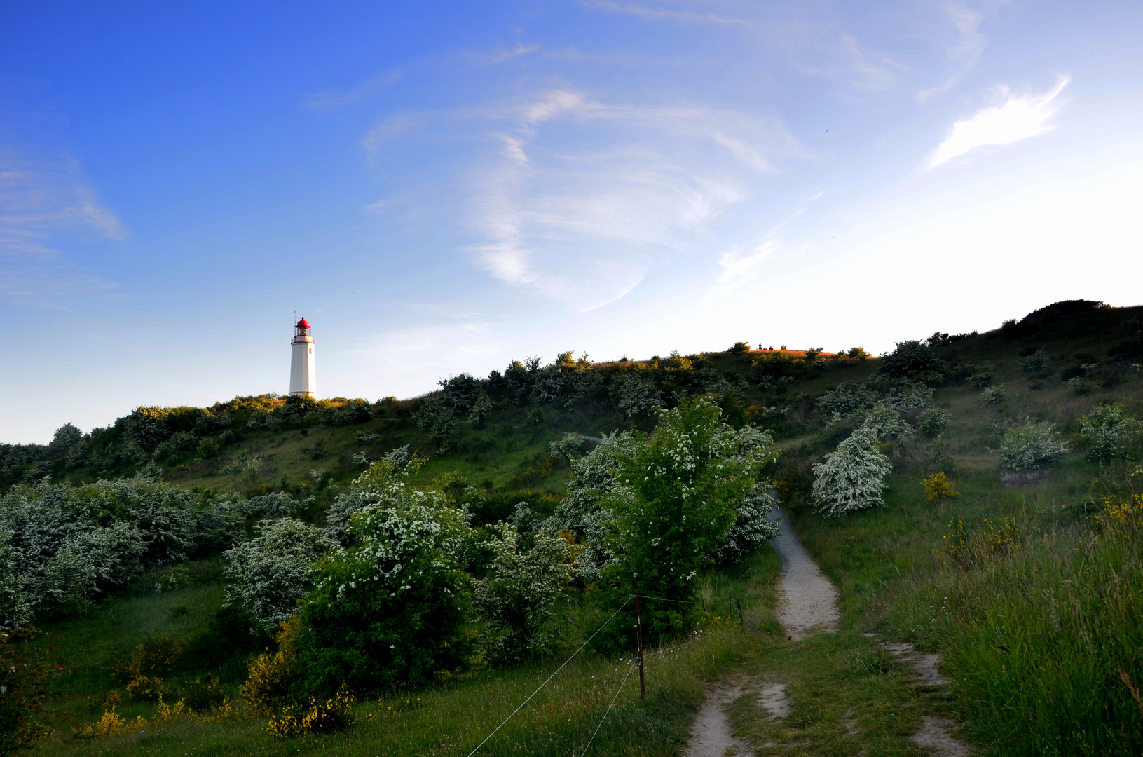 Hiddensee...im Juni 2013