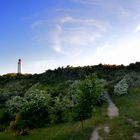 Hiddensee...im Juni 2013