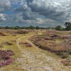 Hiddensee/Neuendorf