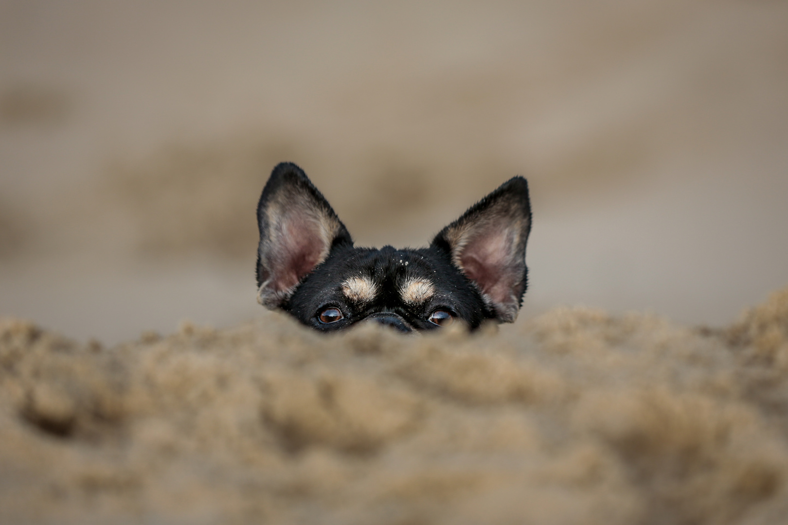 Hide & seek at the beach