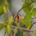 Hiding from the wind