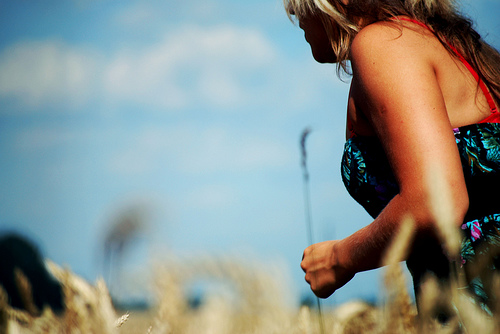 hiding in cornfield