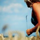 hiding in cornfield