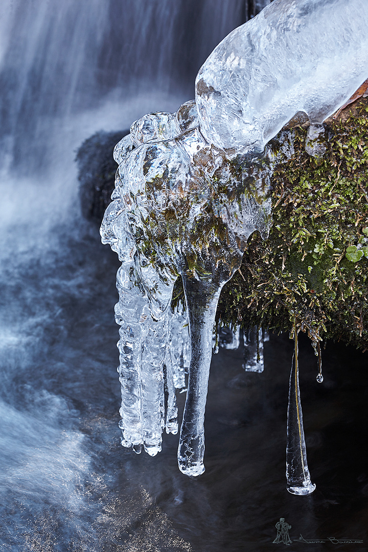 Hielo 