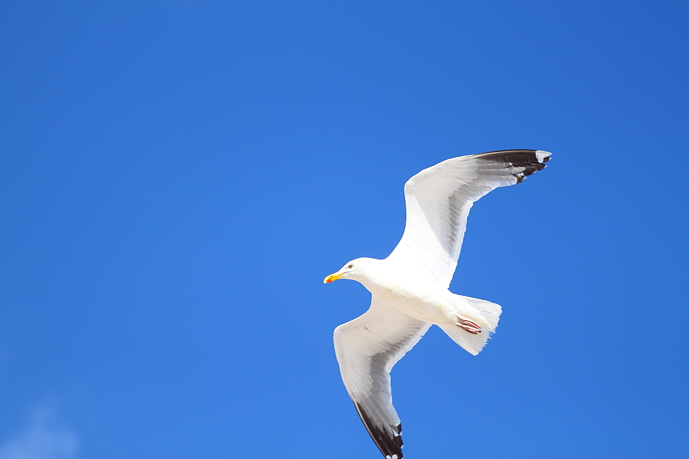 Hier an der Ostsee- Sommer 2012