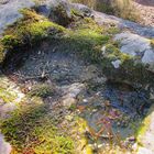 Hier après-midi, eau et lichen commencent à geler..