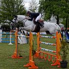 Hier au jumping international de Maubeuge