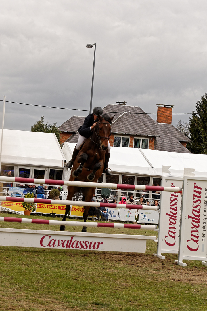 Hier au jumping international de Maubeuge