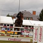 Hier au jumping international de Maubeuge