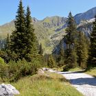 Hier beginnt der Rückweg…