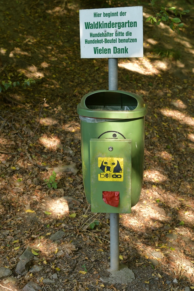 Hier beginnt der Waldkindergarten ….