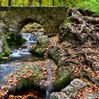 Hier beginnt der Wasserfall