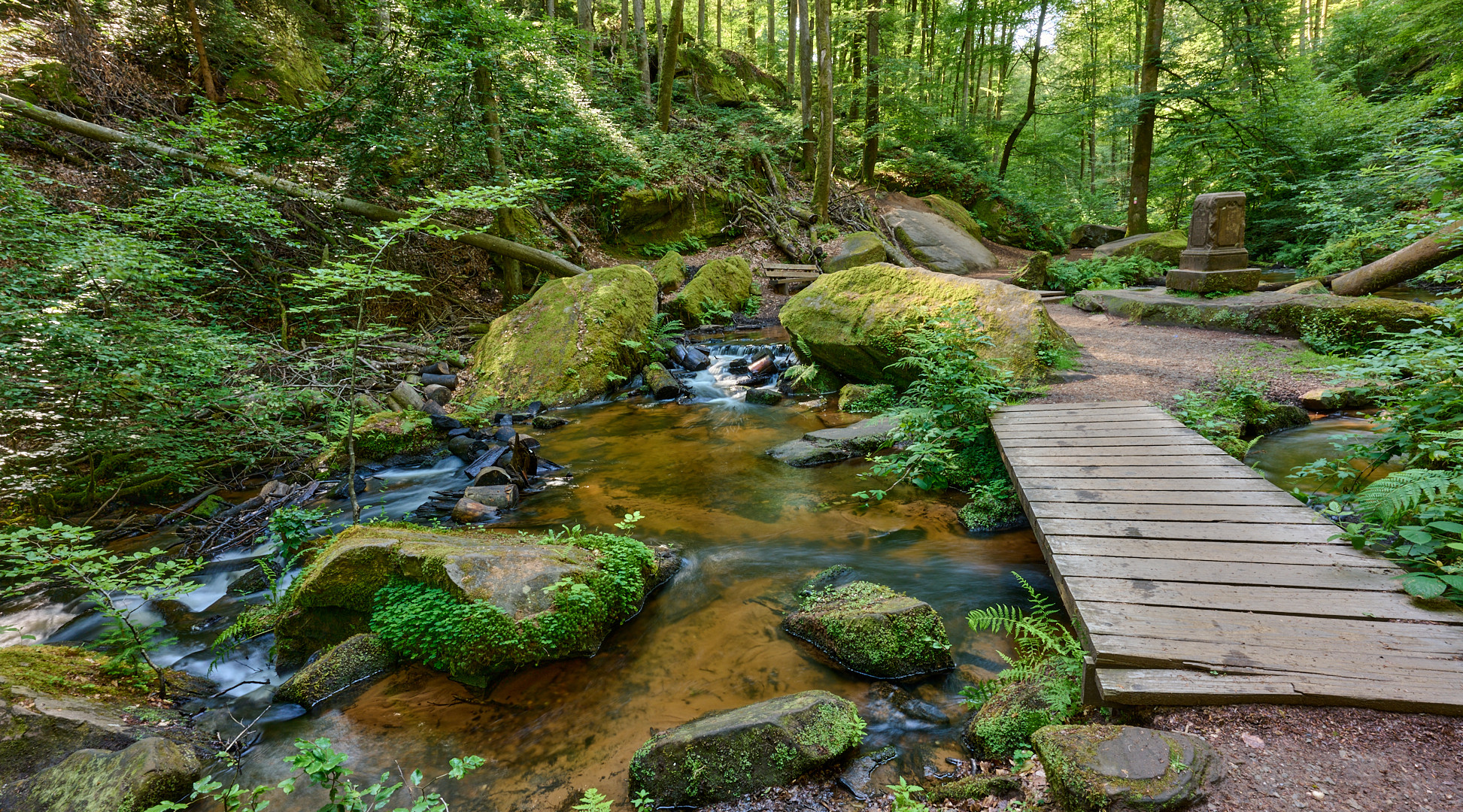 Hier beginnt in der Karlstalschlucht der schönste Wander-Kilometer im Pfälzerwald.