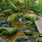 Hier beginnt in der Karlstalschlucht der schönste Wander-Kilometer im Pfälzerwald.