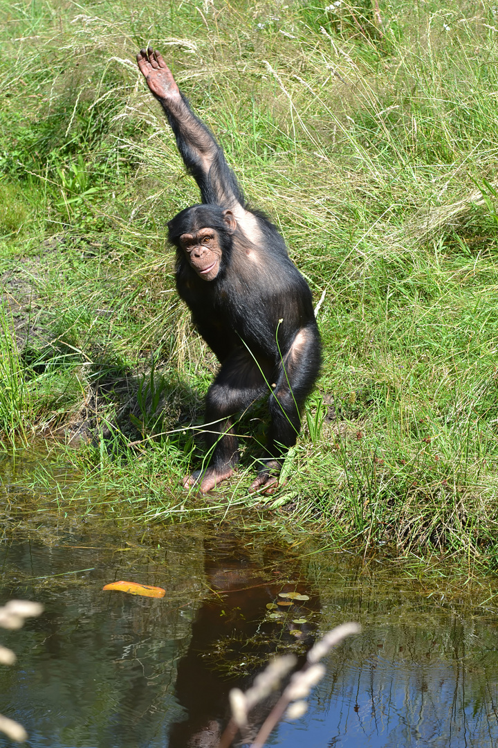 Hier bin ich!