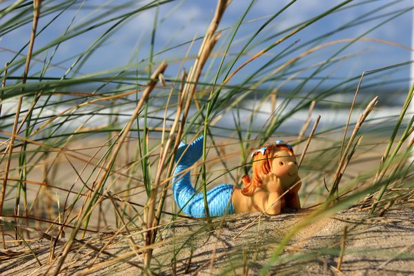 Hier bin ich zuhause!