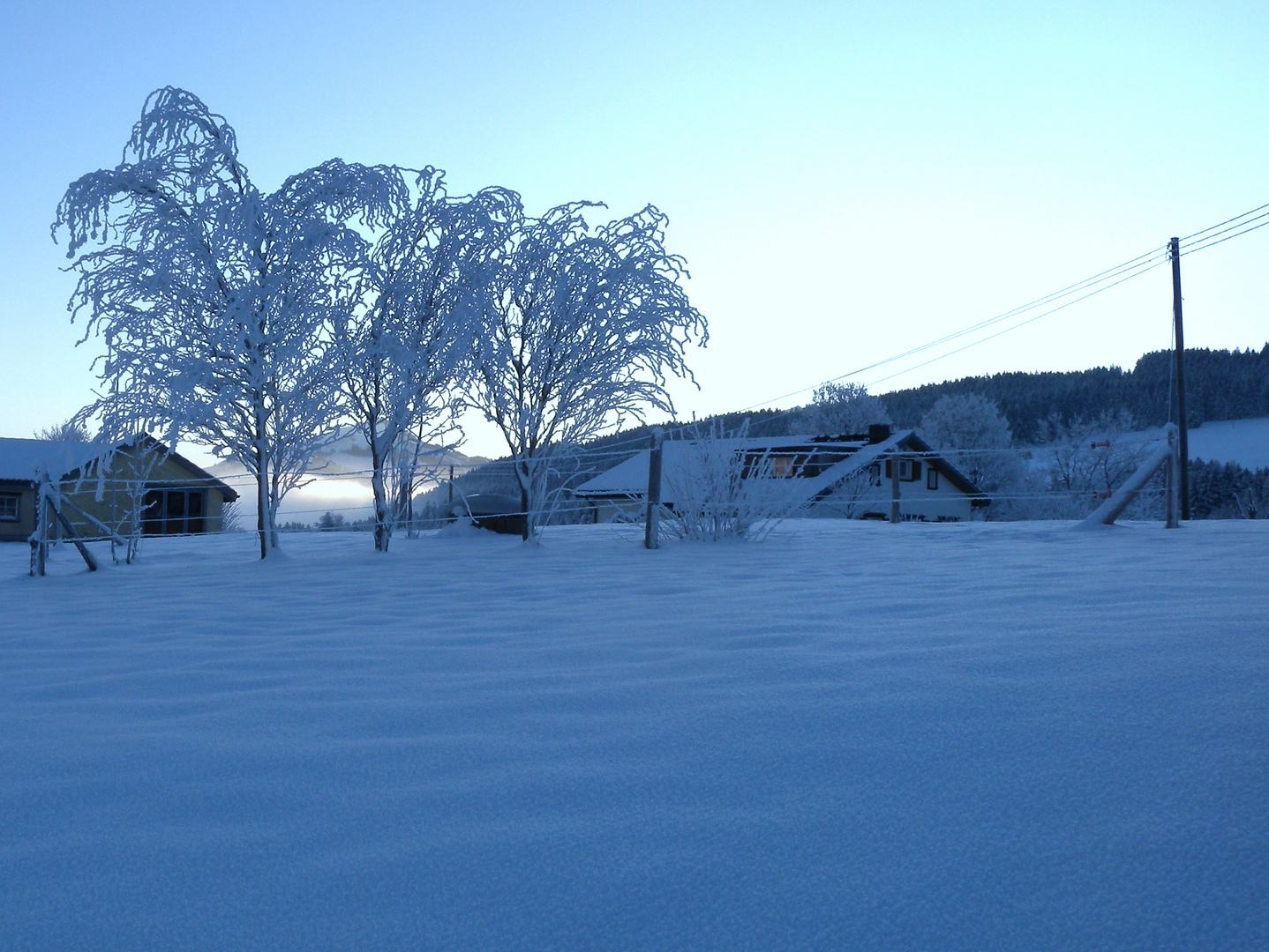 Hier dans la matinée / Ayer en la mañana / Gestern Morgen...02