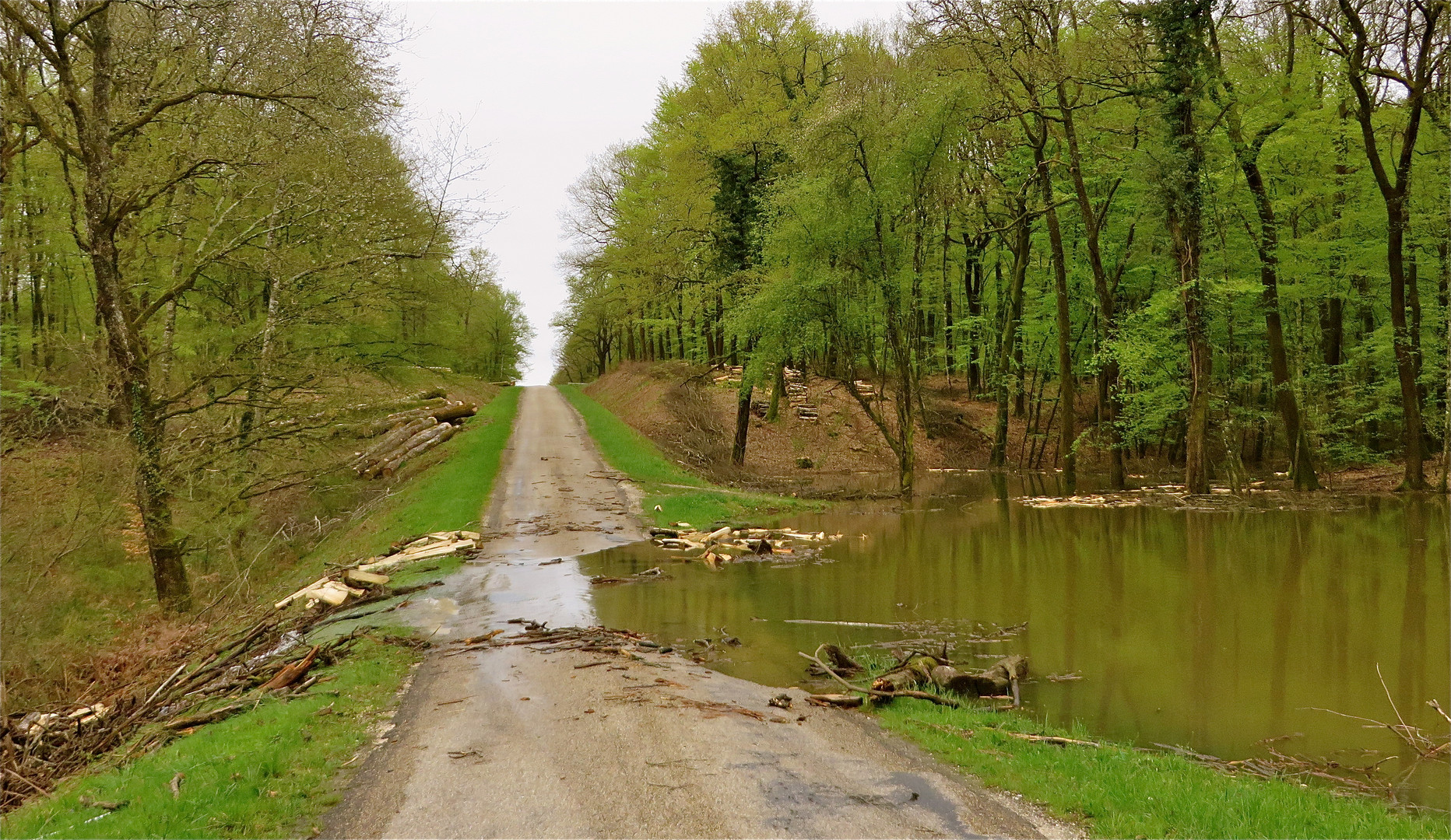 ...hier dans le Forêt de Chaux !!!...