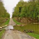 ...hier dans le Forêt de Chaux !!!...