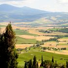 Hier die Landschaft bei Pienza, auf welche die Taube herunterschaut.