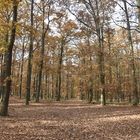 Hier ein Bild vom Waldfriedhof in Seelensdorf im Herbst 