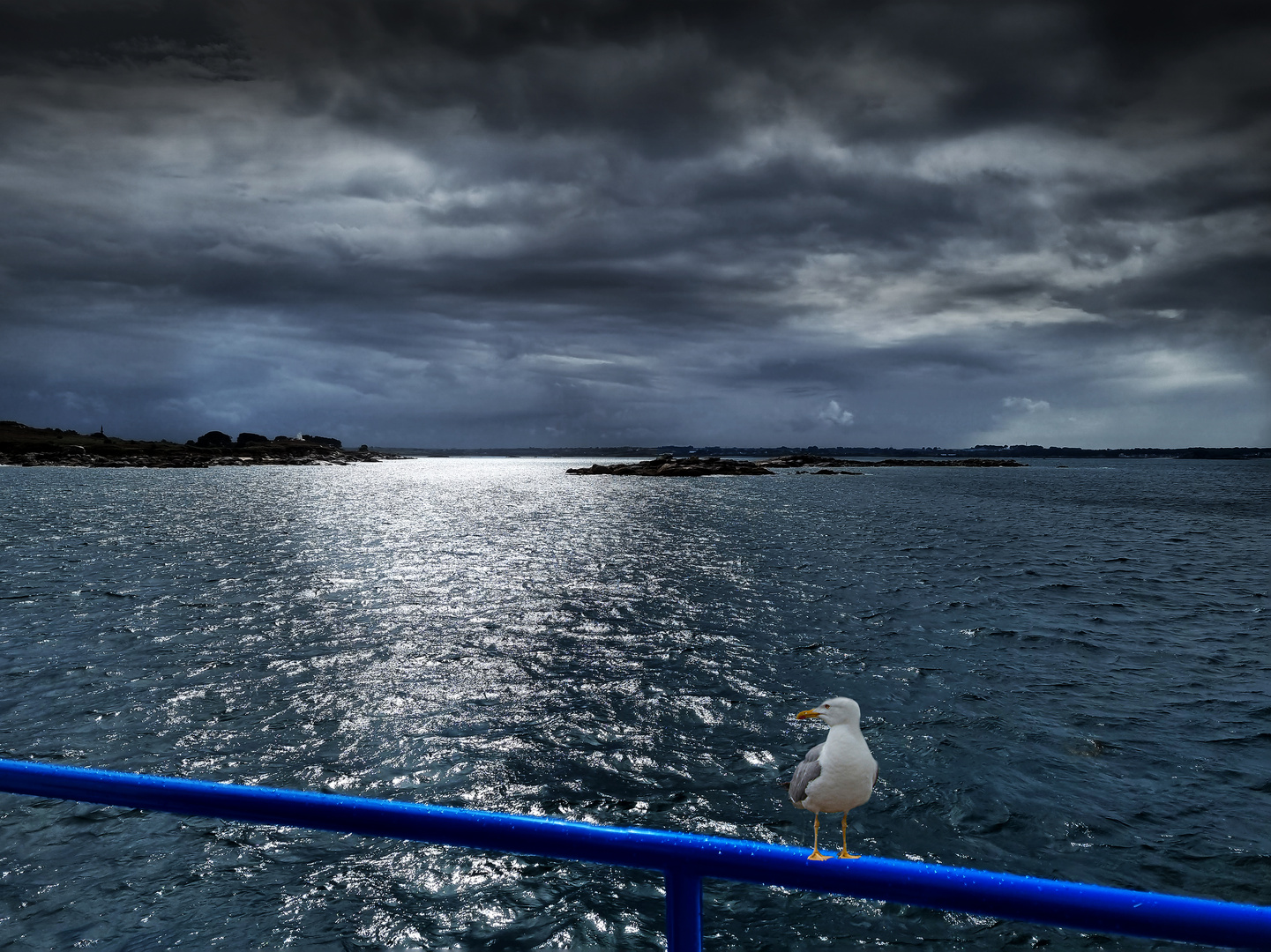 Hier en baie de Morlaix