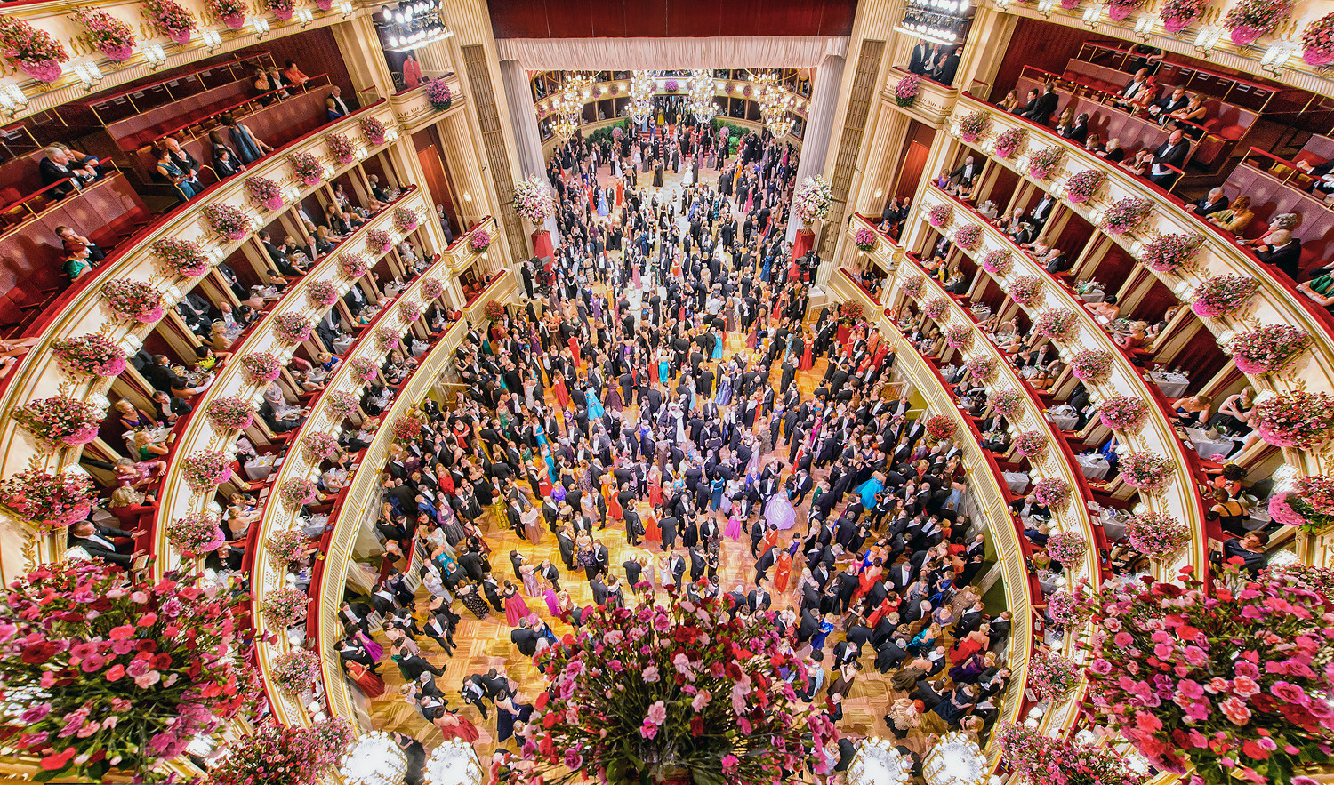 Hier erleben Faltin Travel Reisegäste den Wiener Opernball live in der Wiener Staatsoper.