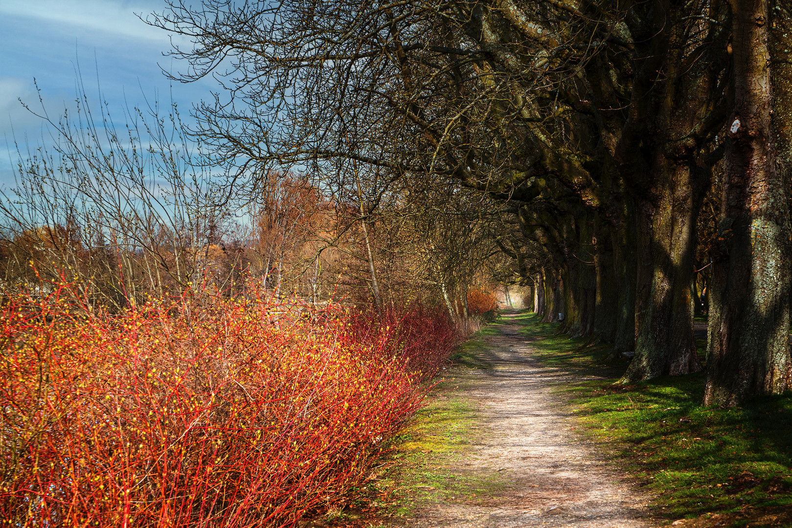 Hier geht's in Richtung Frühling