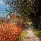 Hier geht's in Richtung Frühling